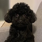 Saimi_赛米的头像