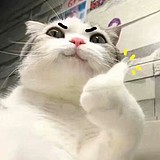 用戶頭像