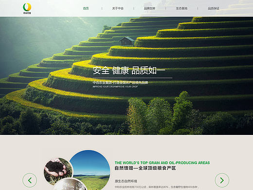 中合农业网页设计（个人主页-ZMjE5NTYxMjA=） - 企业官网 - 站酷设计师一壶流沙原创素材 - 站酷ZCOOL