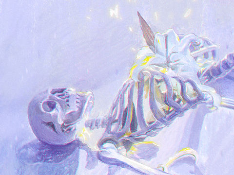 兰兰青青的速涂