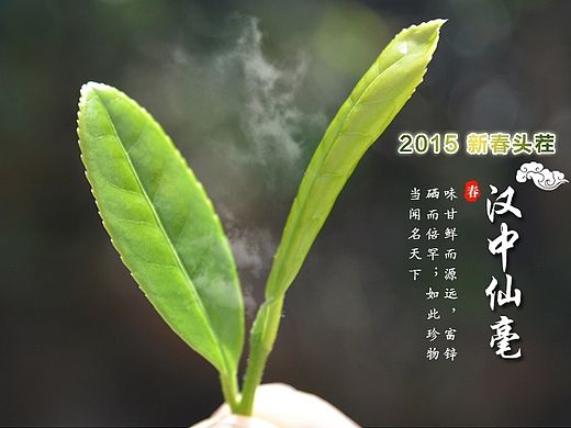 淘宝天猫 淘宝众筹  汉中仙毫茶叶海报 推广图 描述