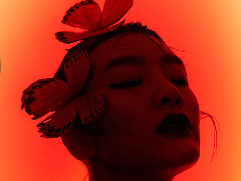 女装创作成片