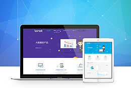 一個(gè)網(wǎng)站