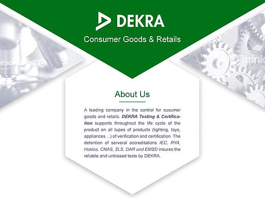 公司业务简介说明设计