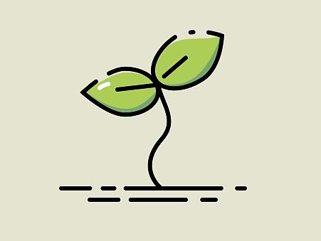 扁平 嫩芽 启蒙 