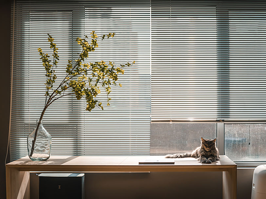 河北燕郊 / 三居室改一居当代年轻人的生活方式（个人主页-ZNjQ2NDM0NDQ=） - 家装设计 - 站酷设计师隋剑桥原创素材 - 站酷ZCOOL