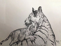 教育插画