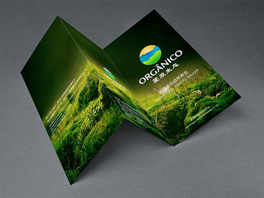 三折頁（個(gè)人主頁-ZMjAyOTEyNjQ=） - 宣傳物料 - 站酷設(shè)計(jì)師貓和你原創(chuàng)素材 - 站酷ZCOOL