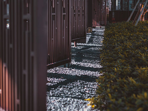几张景观作品