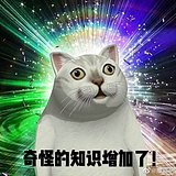 冯闪电买烤箱的头像
