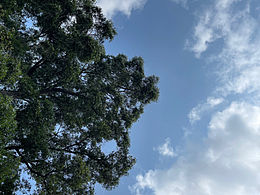 春天一起出来透透气吧[ppb抽烟]