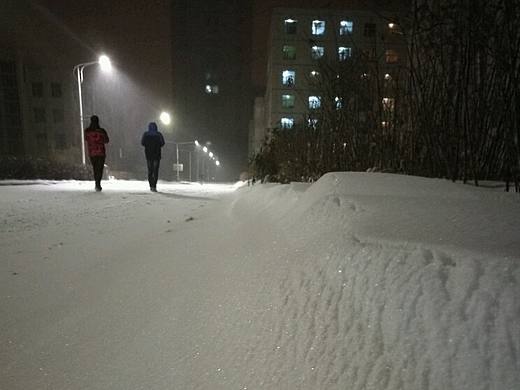 雪景