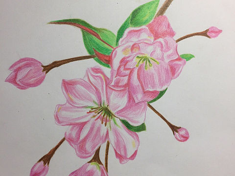 十一手繪（個人主頁-ZMTg0NzU0MDA=） - 創(chuàng)作習(xí)作 - 站酷設(shè)計(jì)師smallfishlcy原創(chuàng)素材 - 站酷ZCOOL