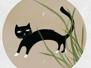 猫猫