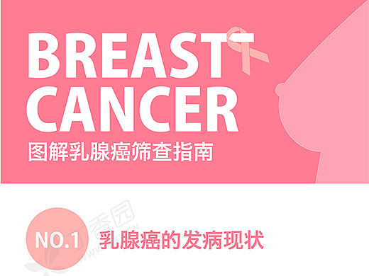 图解乳腺癌筛查指南