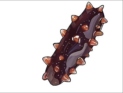 海参练习（个人主页-ZMTQwNTUyNDg=） - 商业插画 - 站酷设计师改名原创素材 - 站酷ZCOOL