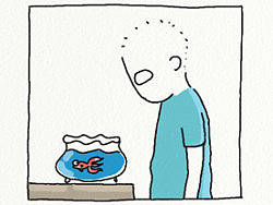 我想我是一只鱼