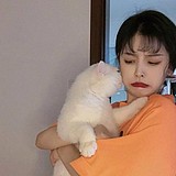 小米不喝粥的头像