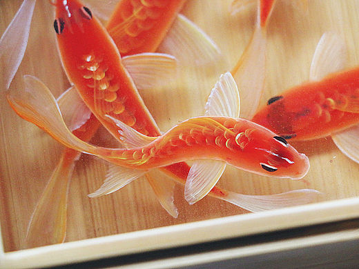 《小红鱼》竹盒