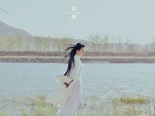 白泽