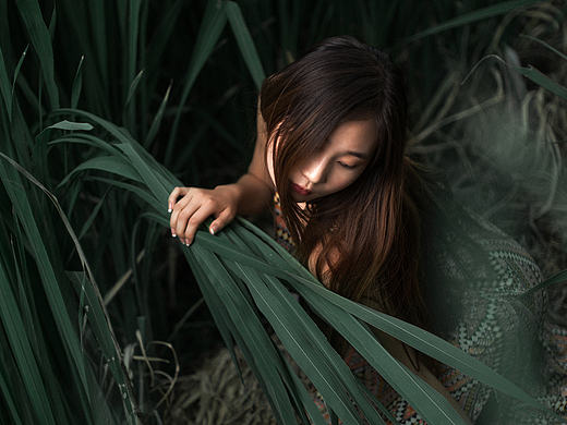 六月,你给了我想要的温柔