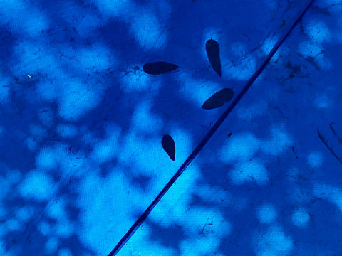 蓝（个人主页-ZMzg1Nzc4NDg=） - 产品摄影 - 站酷设计师我老乡是瞿凡丽原创素材 - 站酷ZCOOL