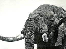 钢笔画