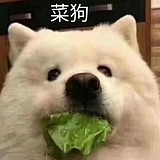做不出来啊的头像