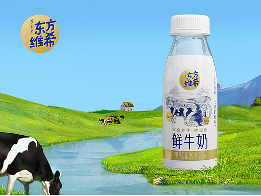 视维 × 东方维希 | 品牌全案设计案例