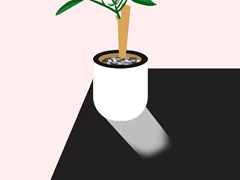 矢量图