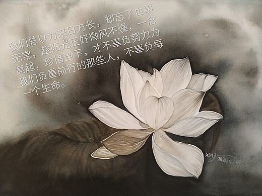 水彩荷花系列之珍惜