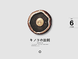 画册