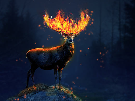 火焰鹿王（個人主頁-ZMTc3NDI1OTI=） - 軟件界面 - 站酷設(shè)計師白筱沐原創(chuàng)素材 - 站酷ZCOOL