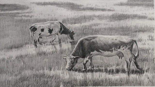 素描蒙古草原