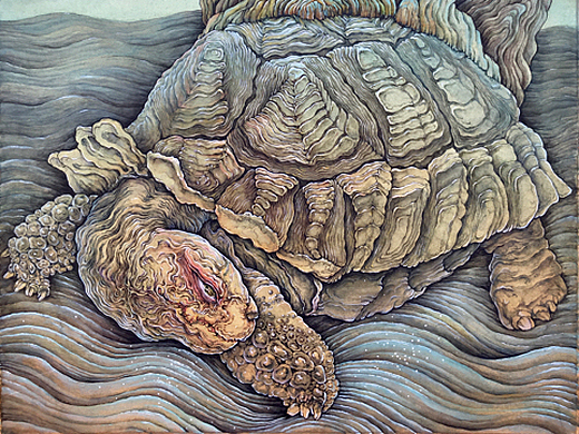 原创手绘国风水彩插画～神龟