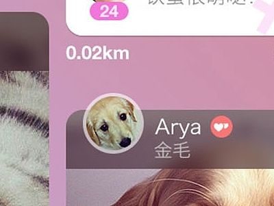 宠物交友