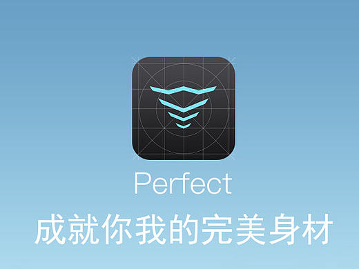 Perfect项目