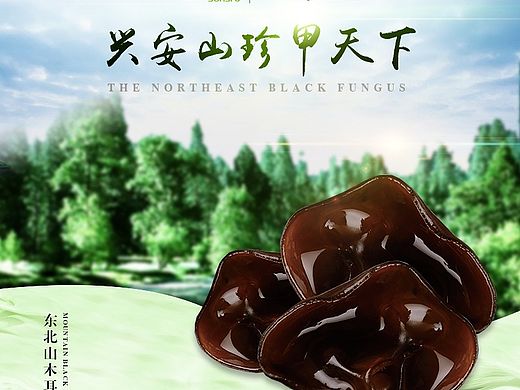 山木耳详情页/东北特产/野生山珍/有机食品/绿色食品