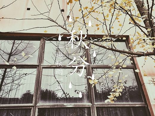 手機(jī)隨拍（個(gè)人主頁-ZMTQ0NjY3MDA=） - 人文/紀(jì)實(shí)攝影 - 站酷設(shè)計(jì)師設(shè)計(jì)師芄子原創(chuàng)素材 - 站酷ZCOOL