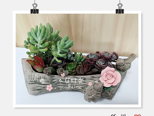 拍攝（個(gè)人主頁(yè)-ZMzQ2MTM4OTY=） - 產(chǎn)品攝影 - 站酷設(shè)計(jì)師每日一畫(huà)原創(chuàng)素材 - 站酷ZCOOL