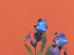 纸艺作品-花