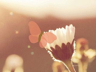 告别2016GIF图（个人主页-ZMjEzMDc5Njg=） - 移动端网页 - 站酷设计师焦喜庆原创素材 - 站酷ZCOOL