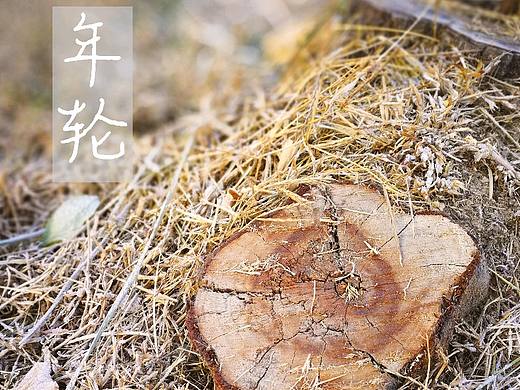 女儿和早晨（个人主页-ZMjUwNzMzNTI=） - 风光摄影 - 站酷设计师o0超哥0o原创素材 - 站酷ZCOOL