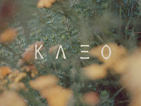 Κ Λ  Ξ Ο  加拿大医美品牌设计案例