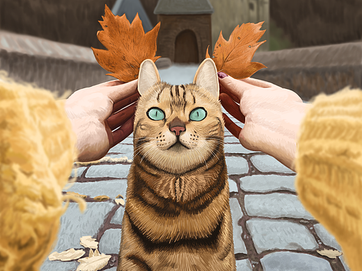 狗子和猫咪