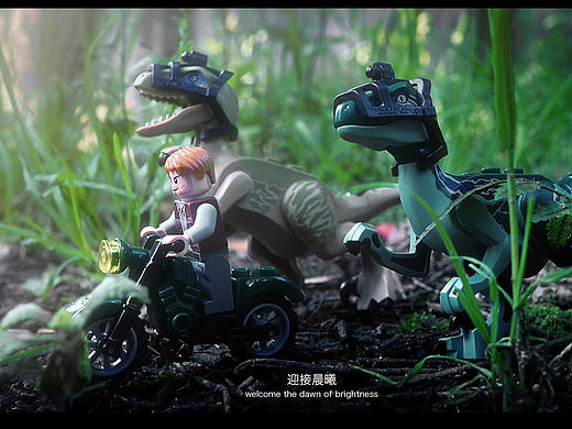 乐高75917伶盗龙暴走外拍