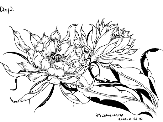 線稿練習(xí)（個人主頁-ZNjQwODgyMjQ=） - 創(chuàng)作習(xí)作 - 站酷設(shè)計師喵了個喵zy原創(chuàng)素材 - 站酷ZCOOL