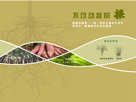 生态自然博物馆植物展览立面设计