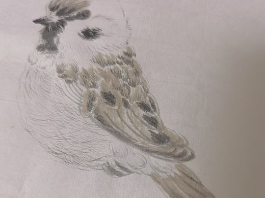 小麻雀（個(gè)人主頁-ZNTcyMjQ3MzI=） - 新銳潮流插畫 - 站酷設(shè)計(jì)師Z728206051原創(chuàng)素材 - 站酷ZCOOL