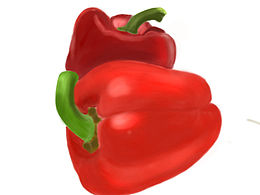 手繪插畫(huà)基礎(chǔ)